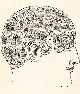 Diagrama frenológico del siglo XIX.