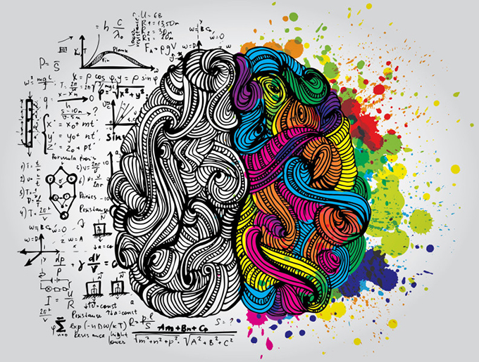 Cerebro de arte y ciencia.